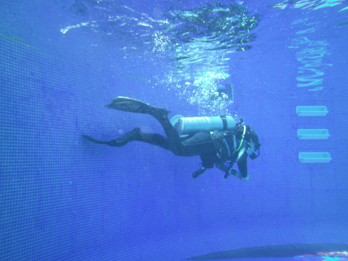 Facing My Fear of Fish: Scuba-Diving in&nbsp;Fujairah