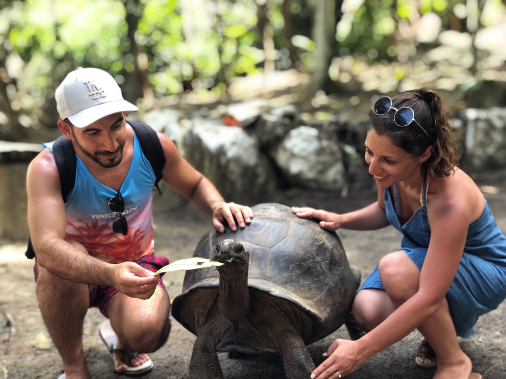 Seychelles Reef Safari: Exploring St. Anne Marine Park & Moyenne&nbsp;Island